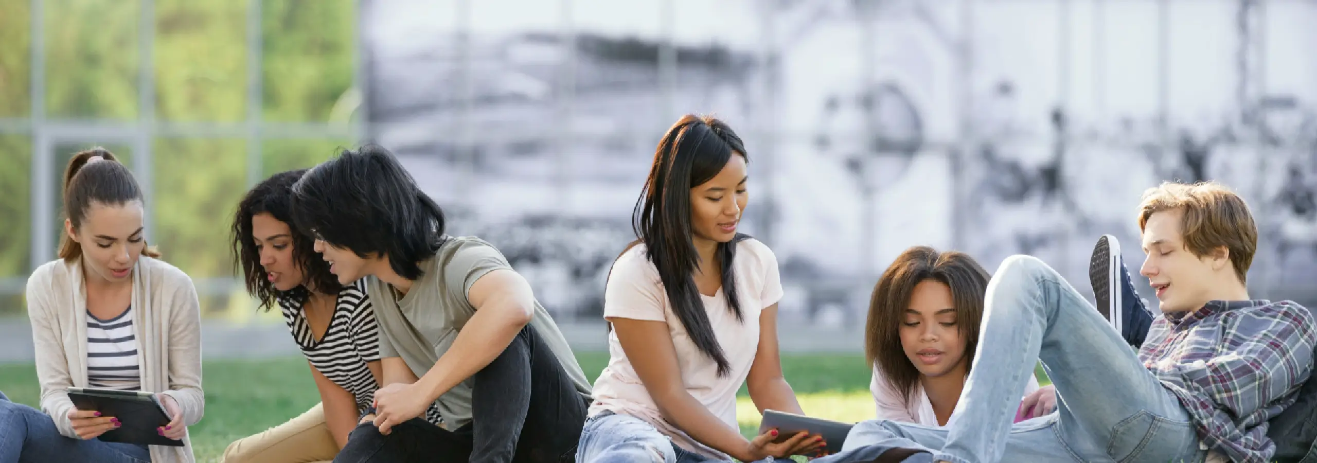 Graduate School of International Cultural Studies