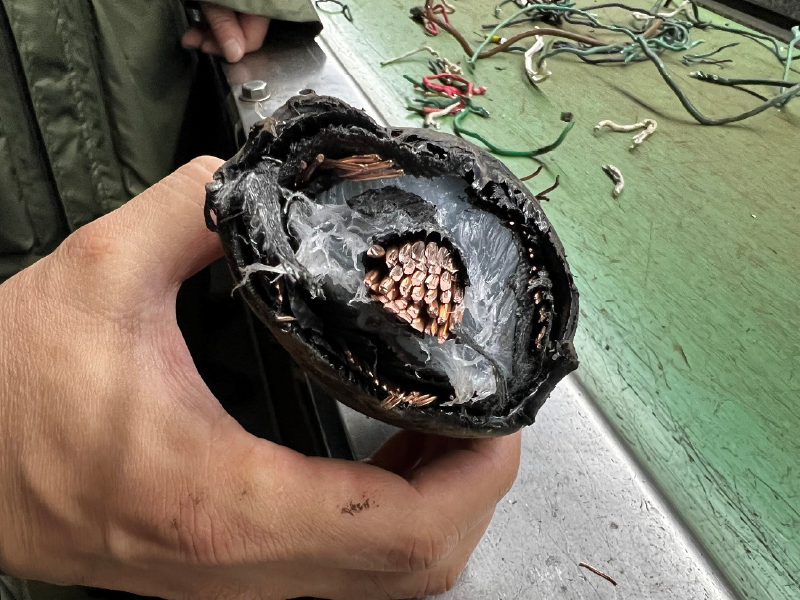 被覆電線由来の廃プラスチックのリサイクル技術開発